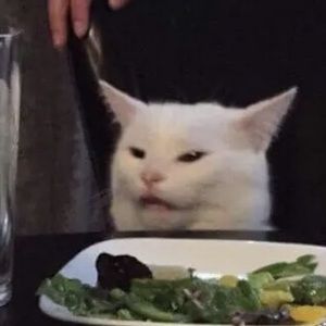 Meet your Posher, Sade